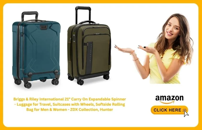 Briggs & Riley International