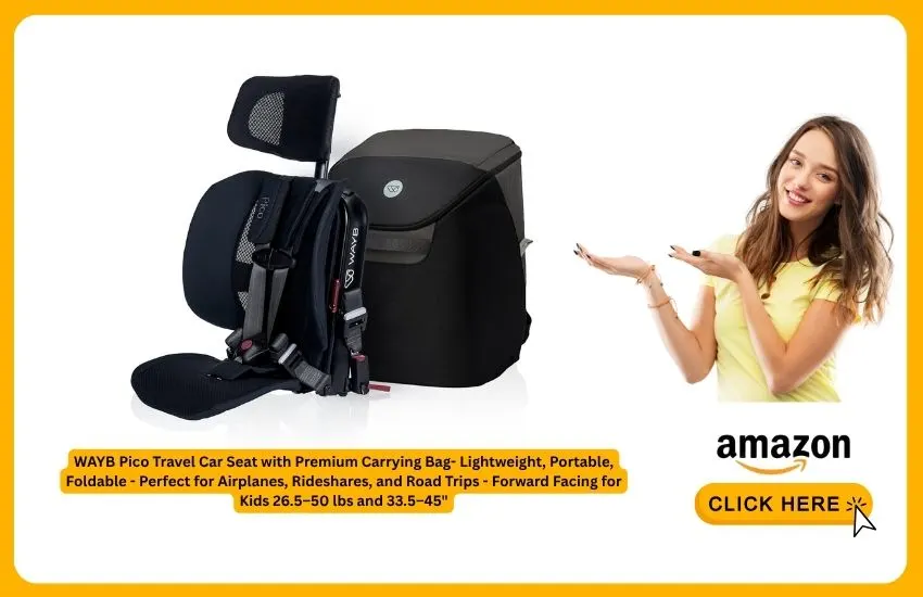 WAYB Pico Travel Car Seat